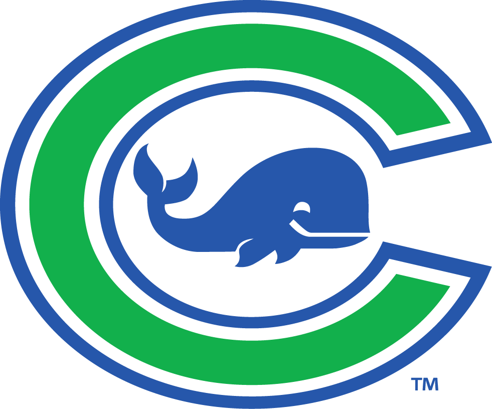 Connecticut Whale 2015-Pres Primary Logo iron on heat transfer